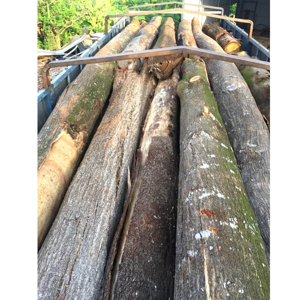 Лидер продаж дешевые деревянные бревна акации для импортеров из Вьетнама