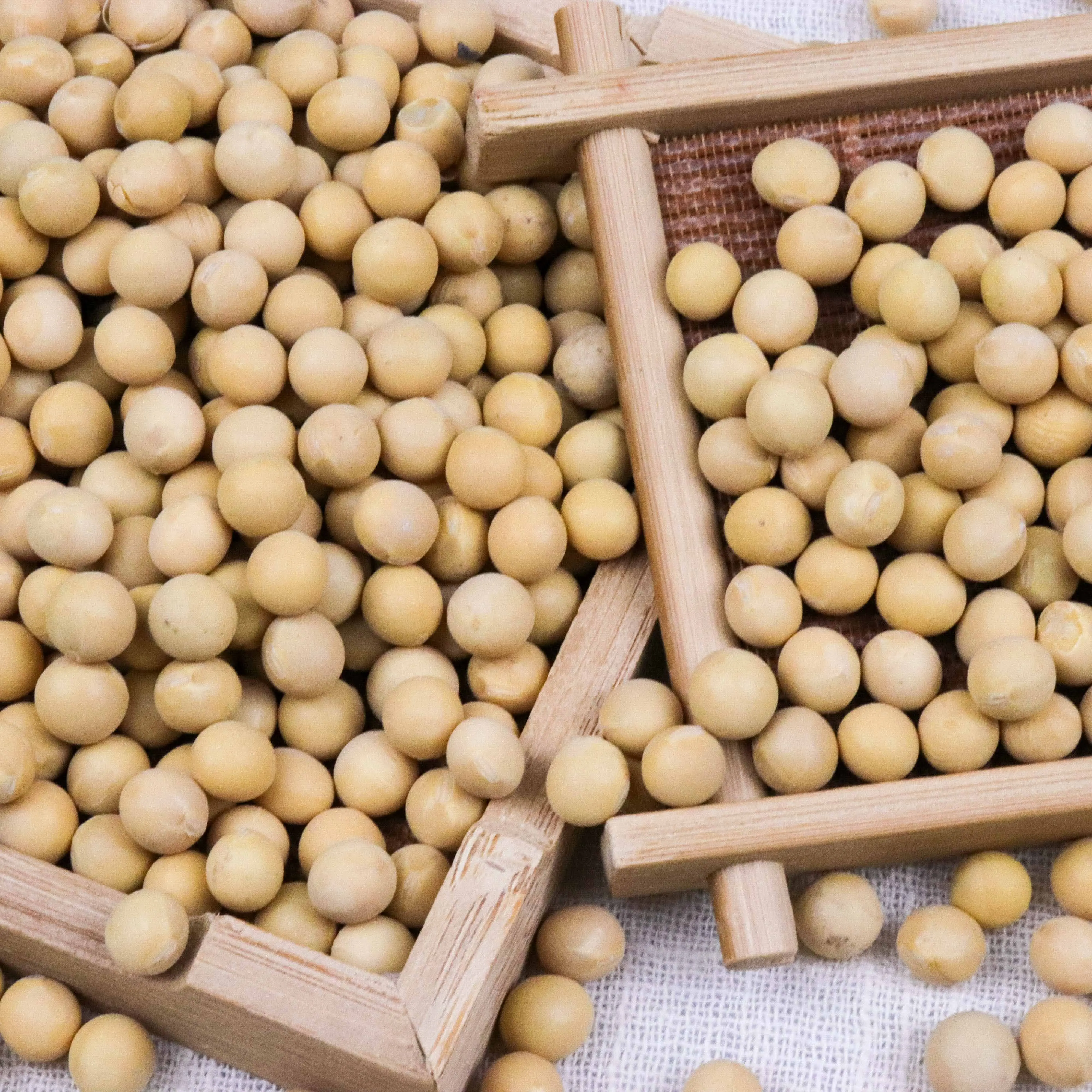 
Newest Crop and Non Gmo soya beans from China Makes High Quality Soy Milk Soy Oil and Tofu 