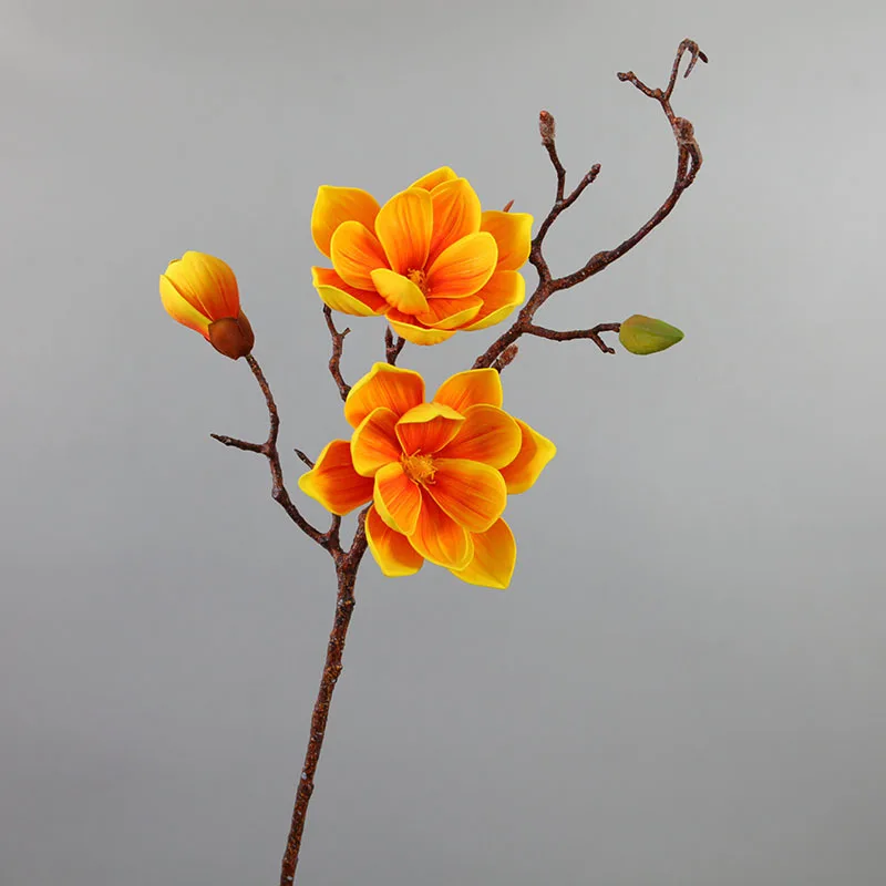 Wholesale Real Touch Handmade Artificial Flower Orchids Artificial Carton Customized Natural Preserved flower