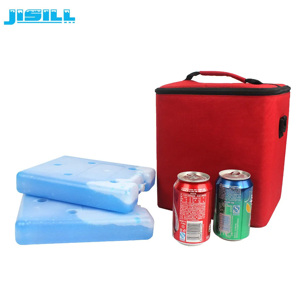 Customizable HDPE Insulated PE Material Reusable Food-Safe Thermal Ice Pack for Cold Storage MSDS Approved & Friendly