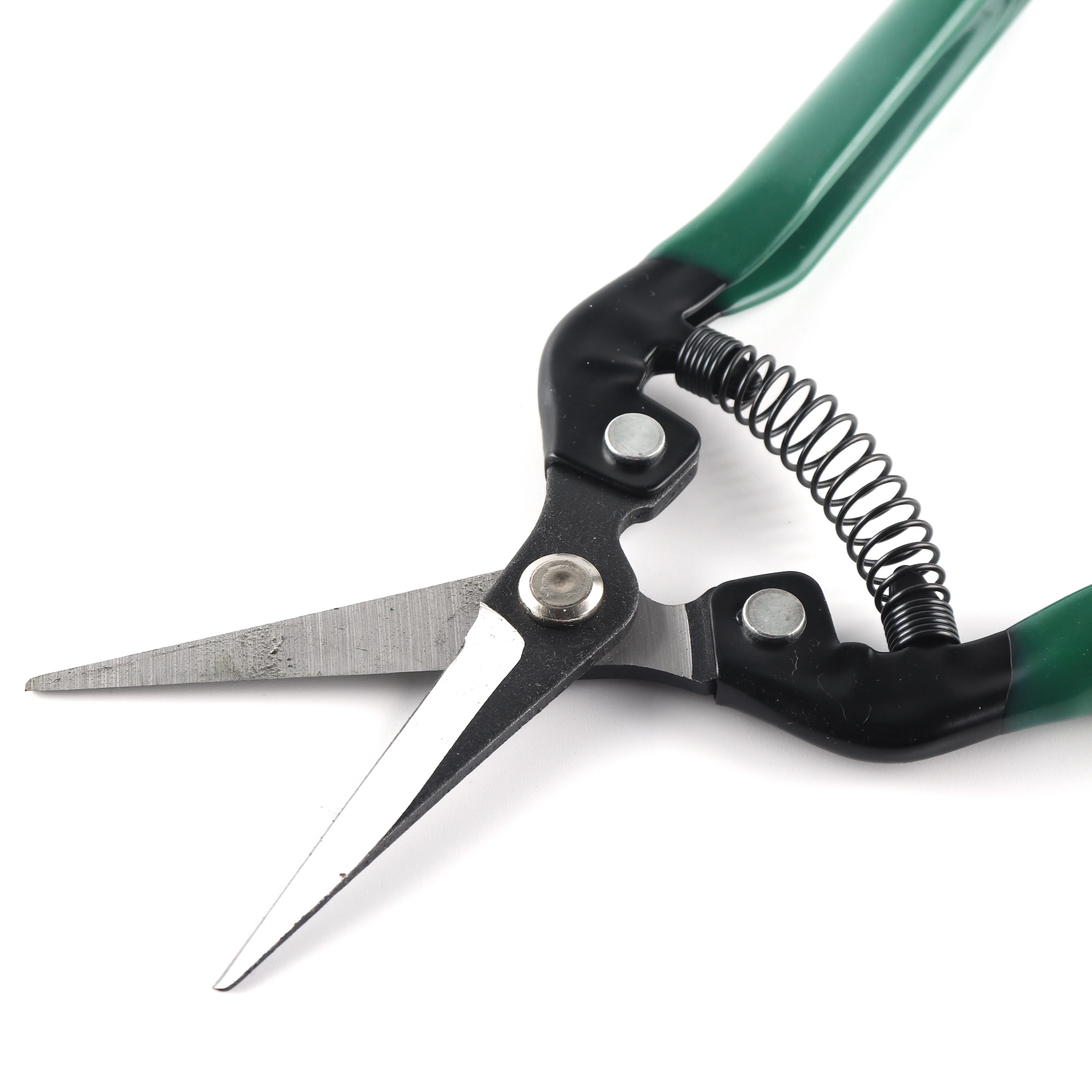 Factory Small Plant Tools Grape Fruit Orchard Grafting Trimming Garden Scissors for Flower Iron Powder Coating Rubber 10 Pcs