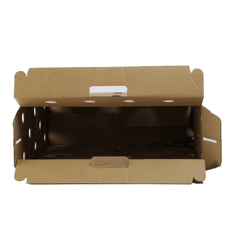Custom Kraft Hole Paper Cardboard Animals Pet Carriers Carton Box Chick Shipping Boxes With Handle