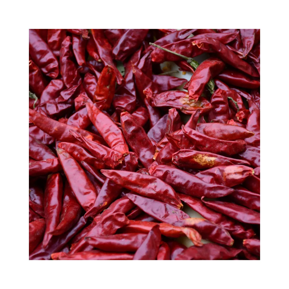 Wholesale Chili Pepper  Manufacturers Delicious Naturelly  Dry  Red Chilli (1600331690012)