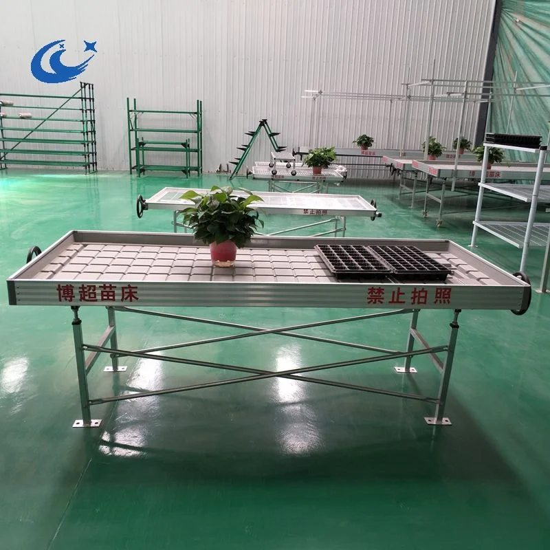 orchid plant nursery 4x8 movable flood rolling bench