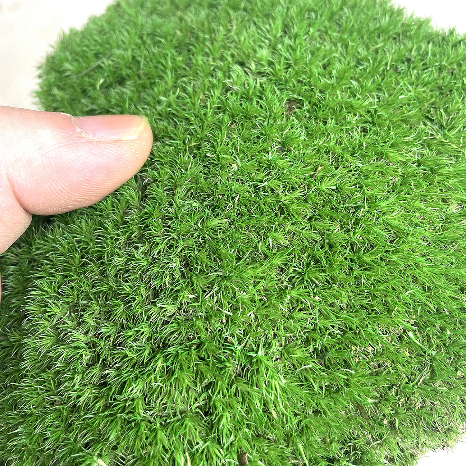 Landscaping Bonsai preserved moss wall potted plant decoration preserved moss sheets wholesale preserved Moss