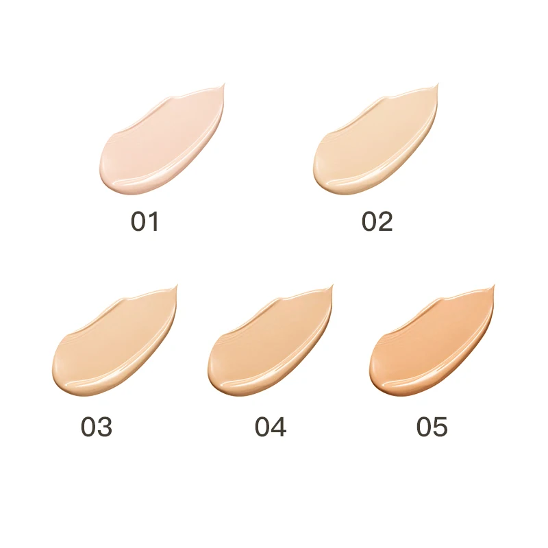 wholesale High-quality custom long-lasting docile moisturizing mushroom head air cushion foundation BB cream CC cream