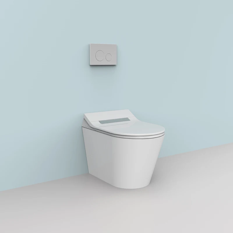 European Standard Bathroom Buttocks Washing Smart Toilet Seat Cover, Toilet Seats, Electronic Toilet Seat