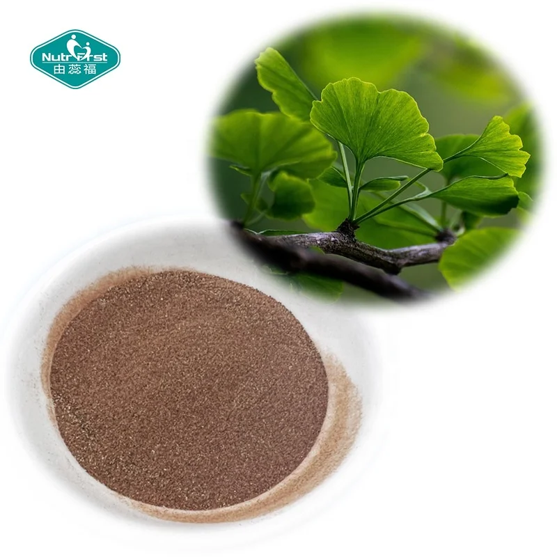 Professional Factory Dietary Supplement Organic Ginkgo Biloba Leaf Powder Water Soluble