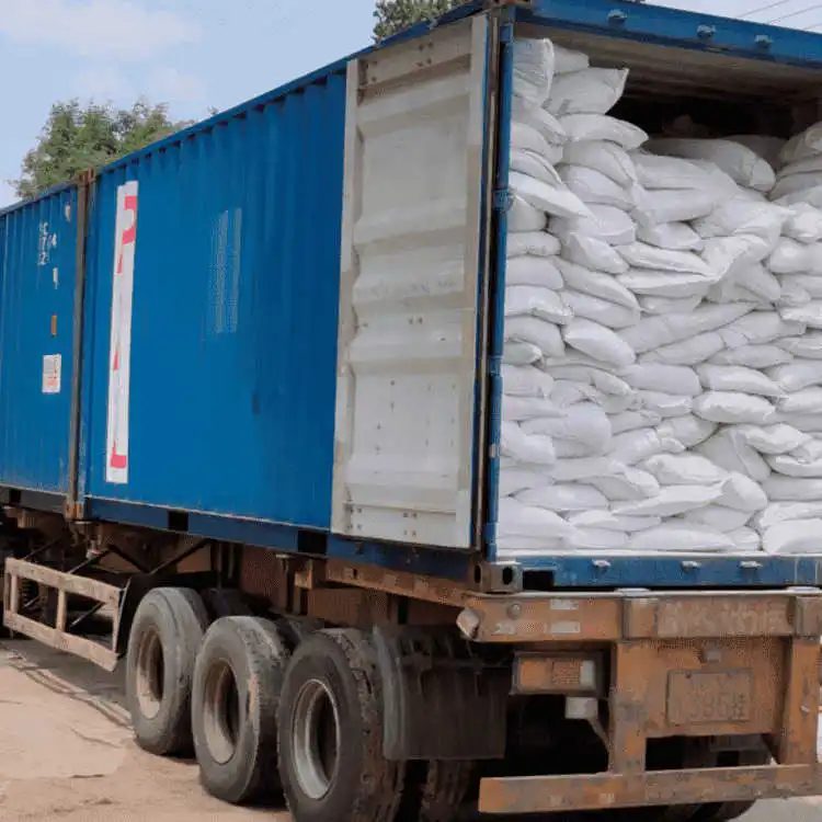 Anaerobic Microbes for Septic tank Sludge Digestion