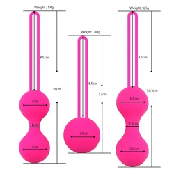 Pelvic Floor Exerciser Kegel Balls Vaginal Tightening Silicone Sex Purple Waterproof Toy Steel Medical Rohs Color vagina ball