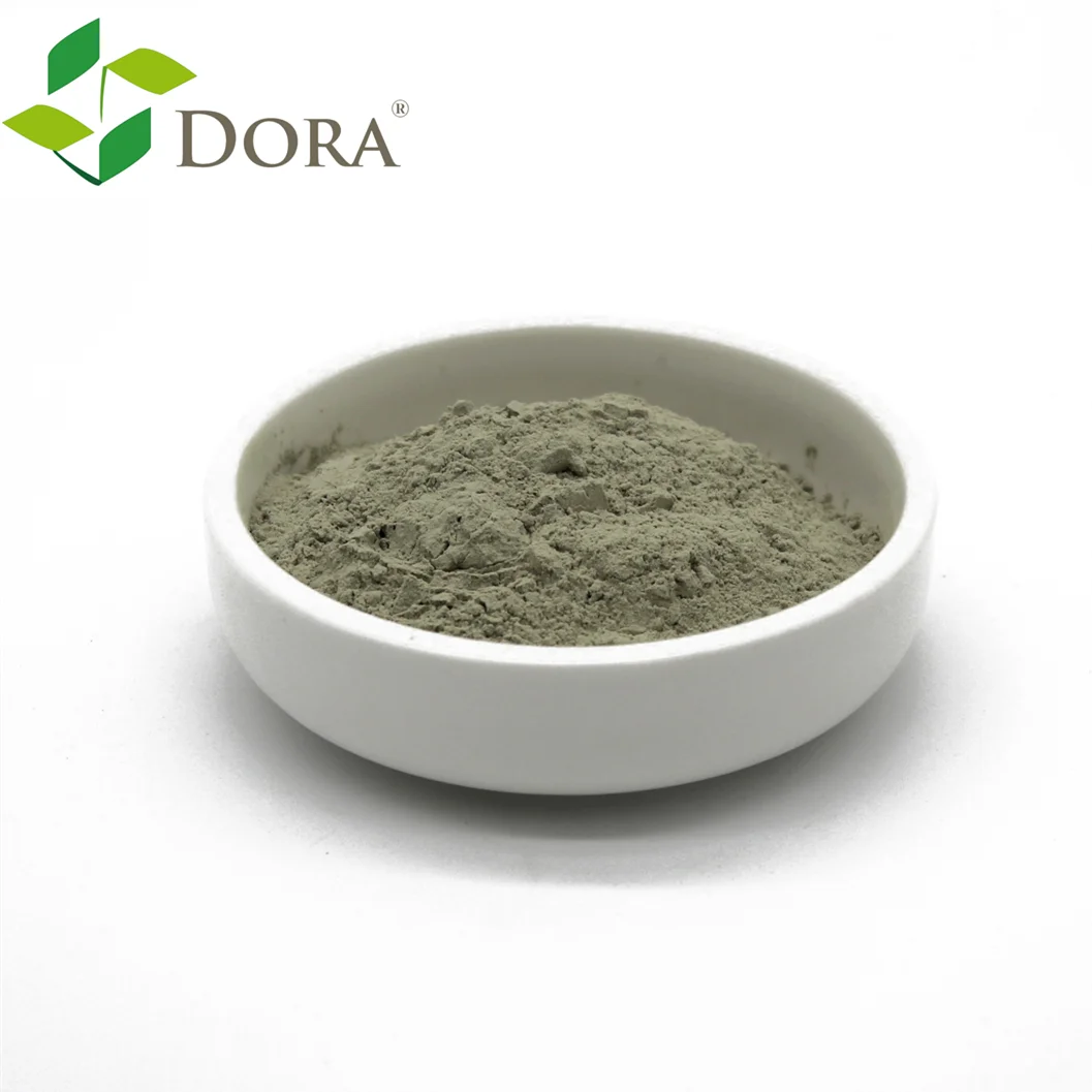 Good Quality Bio Fertilizer Fungi 10 Billion Cfu/g Trichoderma Viride