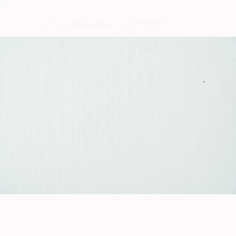 Подгонянная бумага банка чека сертификата анаглиф