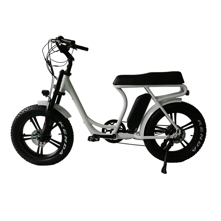 Long Seat 48V 13Ah eBike 2 seat electric bike 750W Brushless Motor Electric Bicycle With 7 speed gears and Disc Brake