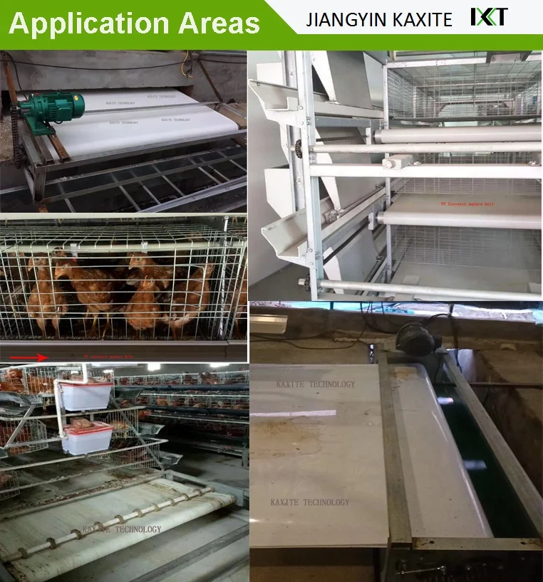 Factory delivery PP Conveyor Belt 0.6mm~2mm PP Conveyor Removal Chicken Layer Manure Belt For Poultry Cage