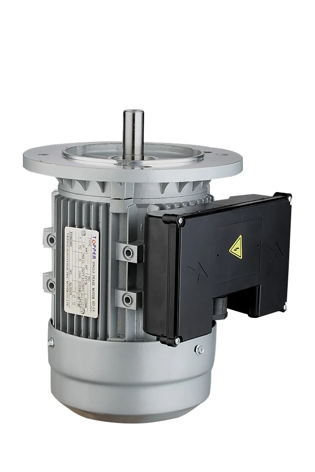 YL series dual capacitor single phase induction motor