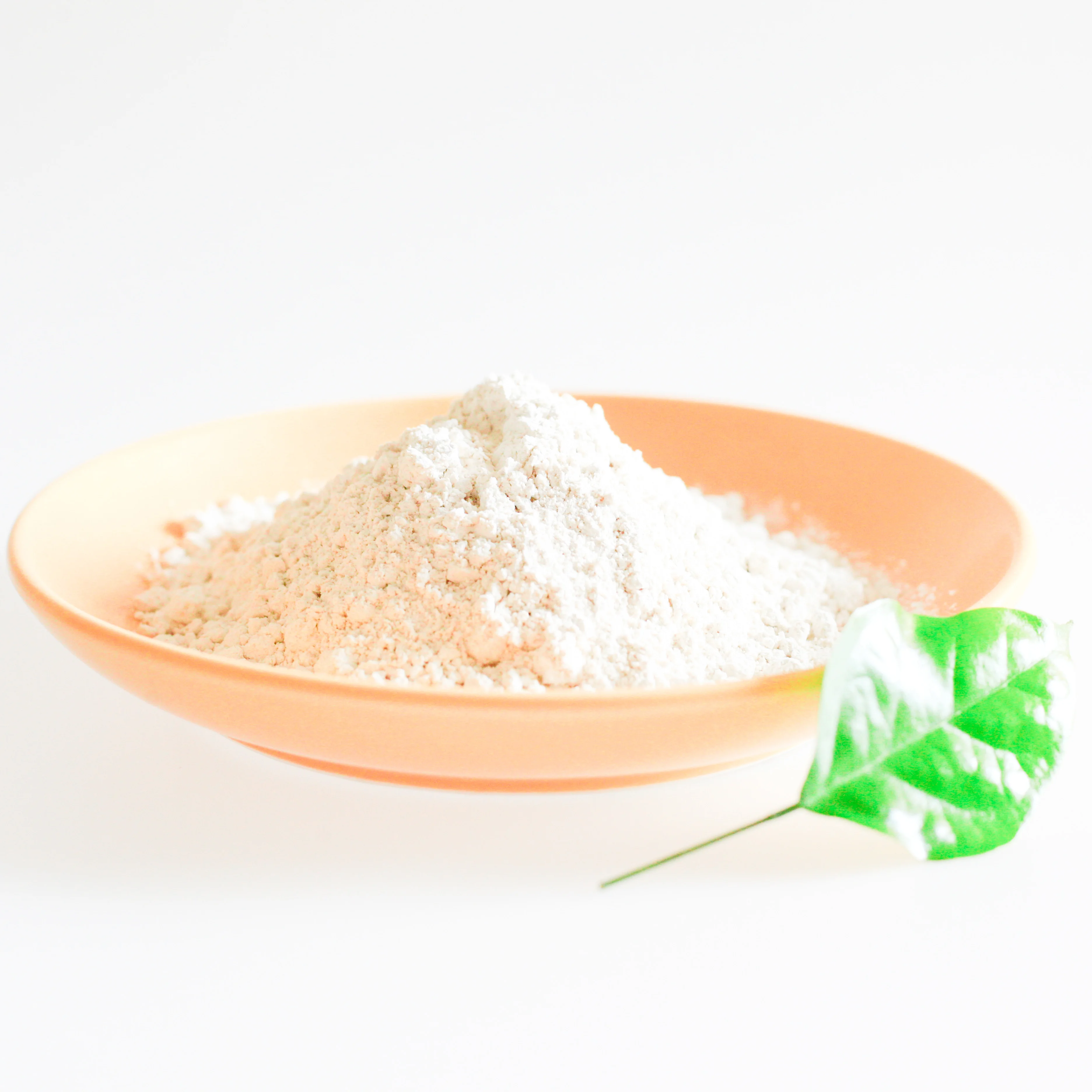 Womens Promote Gastrointestinal Health Organic Probiotics Clostridium Butyricum Powder