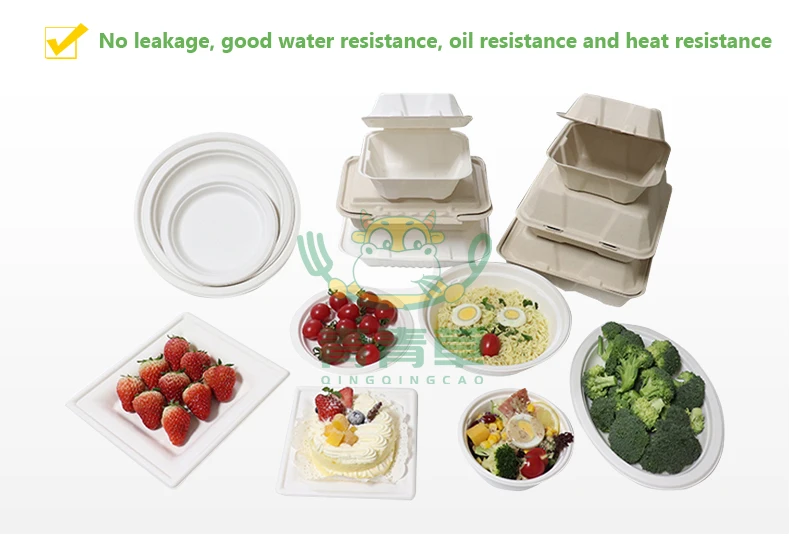 one time use sugarcane bagasse container molded paper pulp box degradable tableware made in China