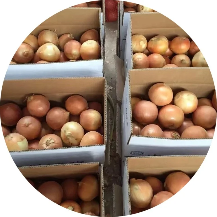 Китайский свежий красный и желтый лук Неочищенный недорогая цена OnionFresh картонная коробка 10 кг от поставщика Shandong