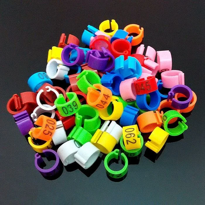 100pcs mix color 8mm foot ring bands bird clip on leg rings for pigeon dove chicks bantam quail lovebirds finch small poultry