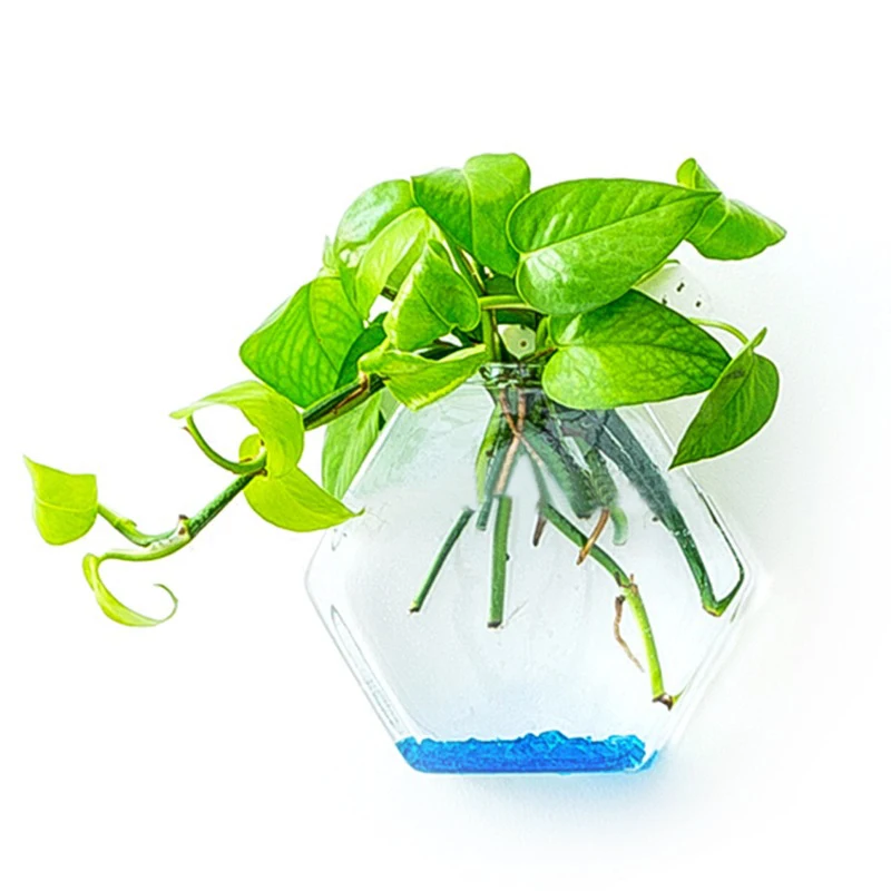 Modern Home Decoration Wall Vase Hanging Glass Vase for Stylish Home Decor