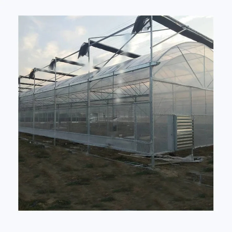 Single-Span Greenhouses