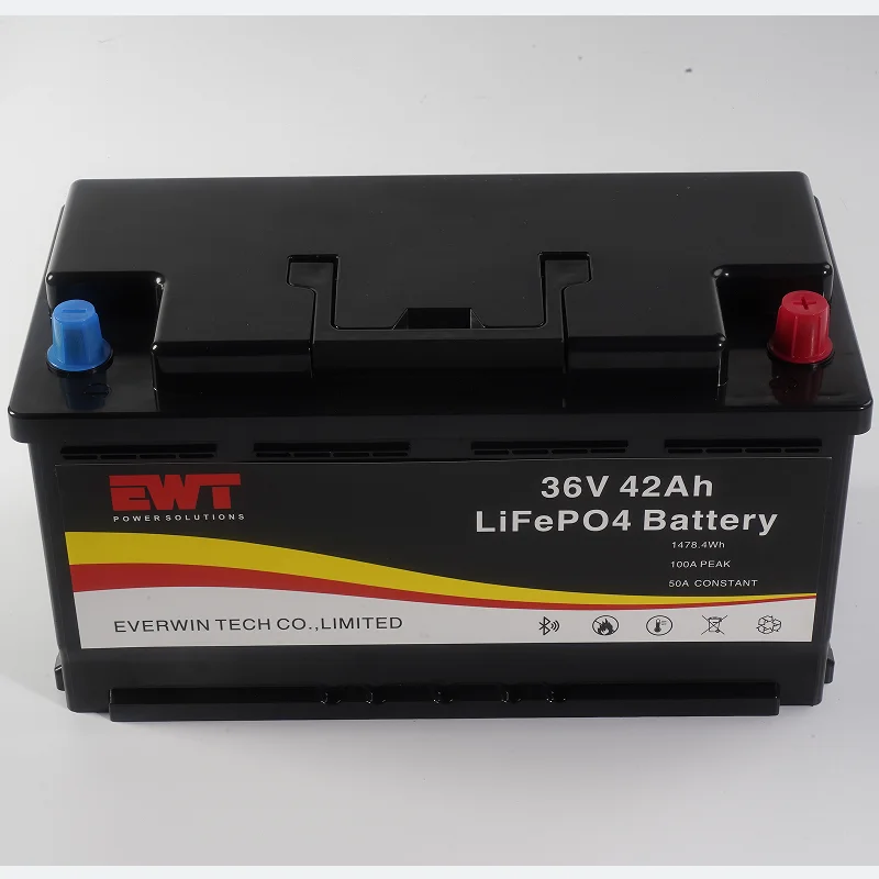 Dustproof and Waterproof 36V 42Ah Lithium LifePo4 Battery Pack Supply RV Power Equipment