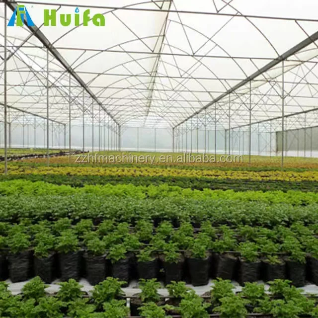 Multispan Plastic Film Greenhouse For Tomato Cucumber Watermelon Vegetable Growing