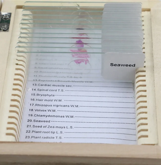 Laboratory apparatus zoology microscope slide for searching use