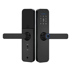 Smart Digital fingerprint european style intelligent Alexa App Handle door lock electronic ttlock Wifi wood door lock