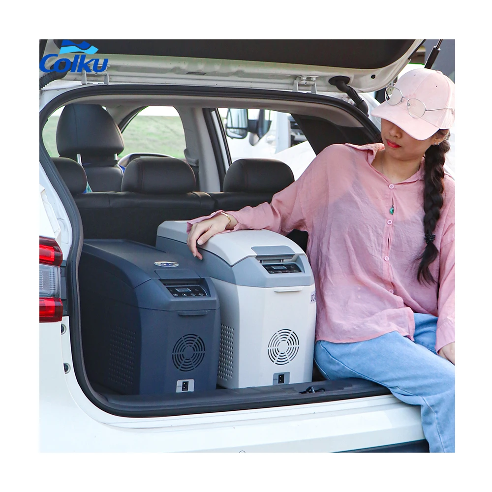 Factory Price Dc 12v 24v Car Portable Mini Fridge Freezer Refrigerator for Hiking Camping