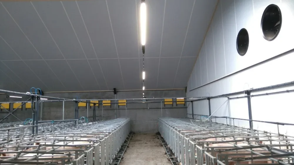 T12 Ammonia Resistant Led Pig Farm Lights ip69k Waterproof 120lmw for swine house