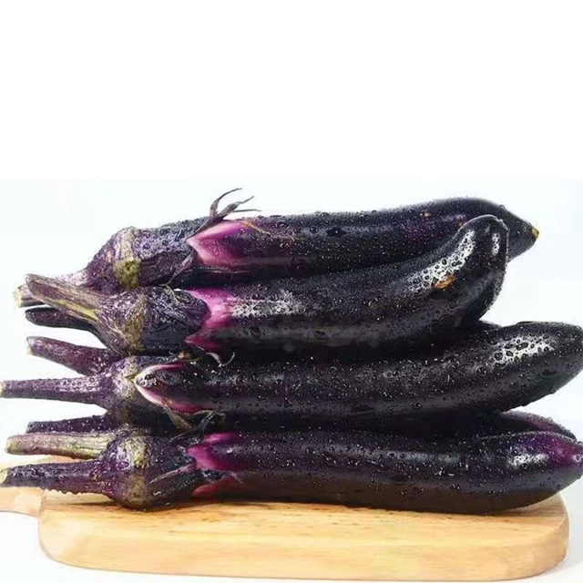 High Quality Product From China Fresh Eggplant Healthy New Natural And Organic Vegetables With Good Price