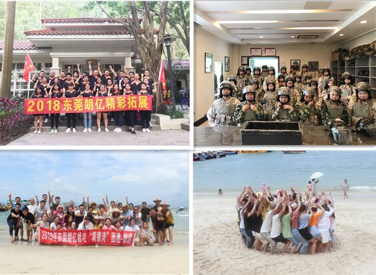 24mm 24v Replace Maxon Low Speed 900Rpm Brushless Dc Motor With Planetary Gearbox  For Robots