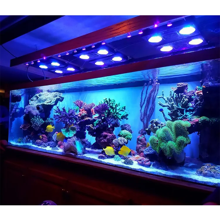 Factory Direct High Quality Clear Acrylic Aquariums, Acrylic Tank With Big Size*