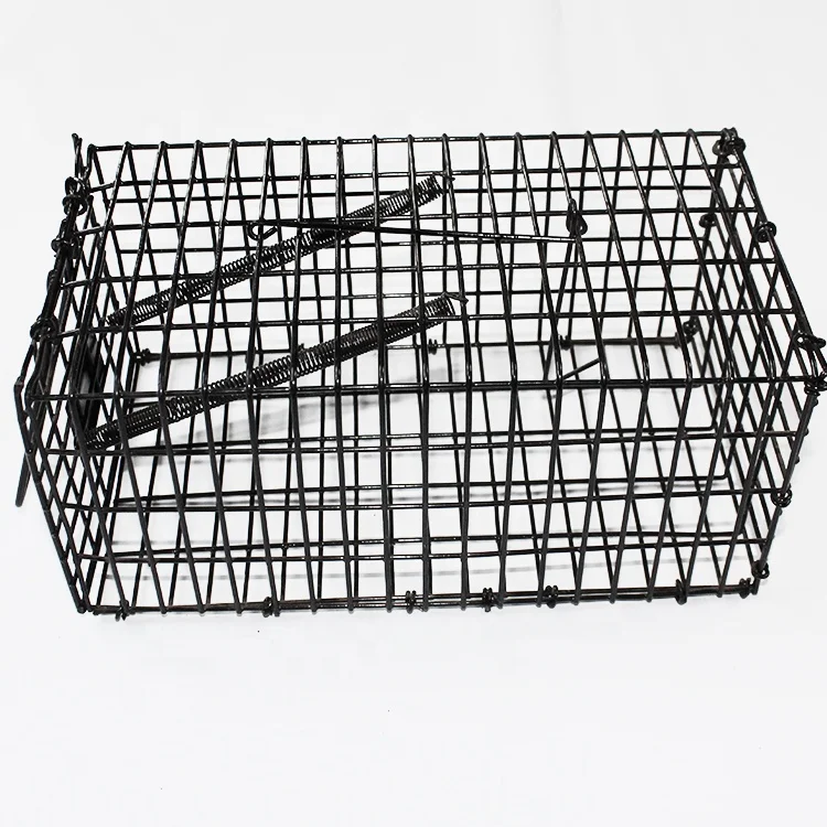 Trap Animal Hunting Equipment Animal Trap Laboratory Rat Cages Bird Trap Cage