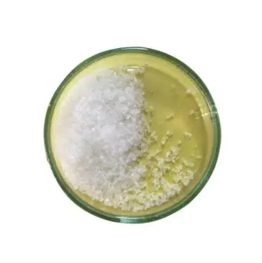 Free Sample BP Powder 2-Benzylamino-2-methyl-1-propanol B CAS 10250-27-8