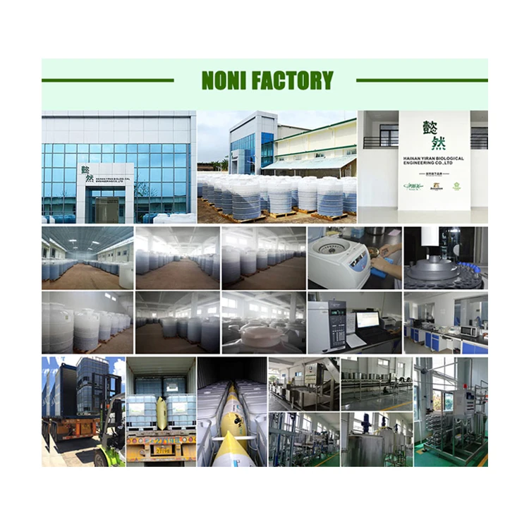 China Factory Price Wholesale Best Quality Noni Fruit  Enzyme Juice Drink for Healthy Immune System