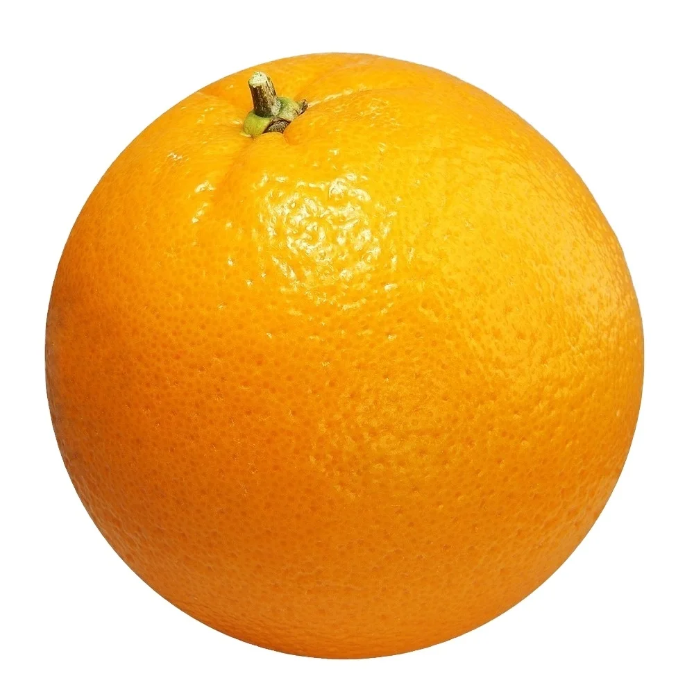 Wholesale Fresh Valencia Orange Fruit Navel Orange from Egypt Categorized under Citrus Fruit