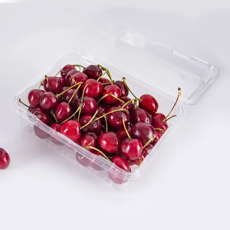 With Lid Disposable plastic bowl Box clear salad Trays Disposable Clear Plastic Clamshell Food Container