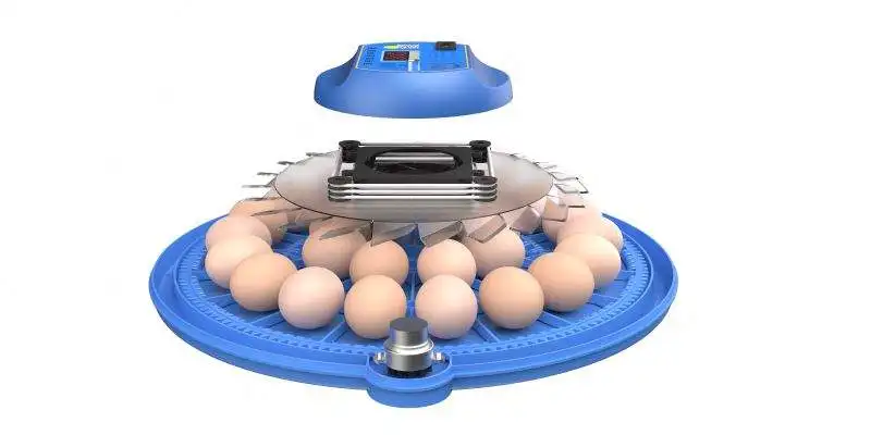 Автоматическая машина для курицы 8 яиц небольшой инкубатор утки перепелов голубей