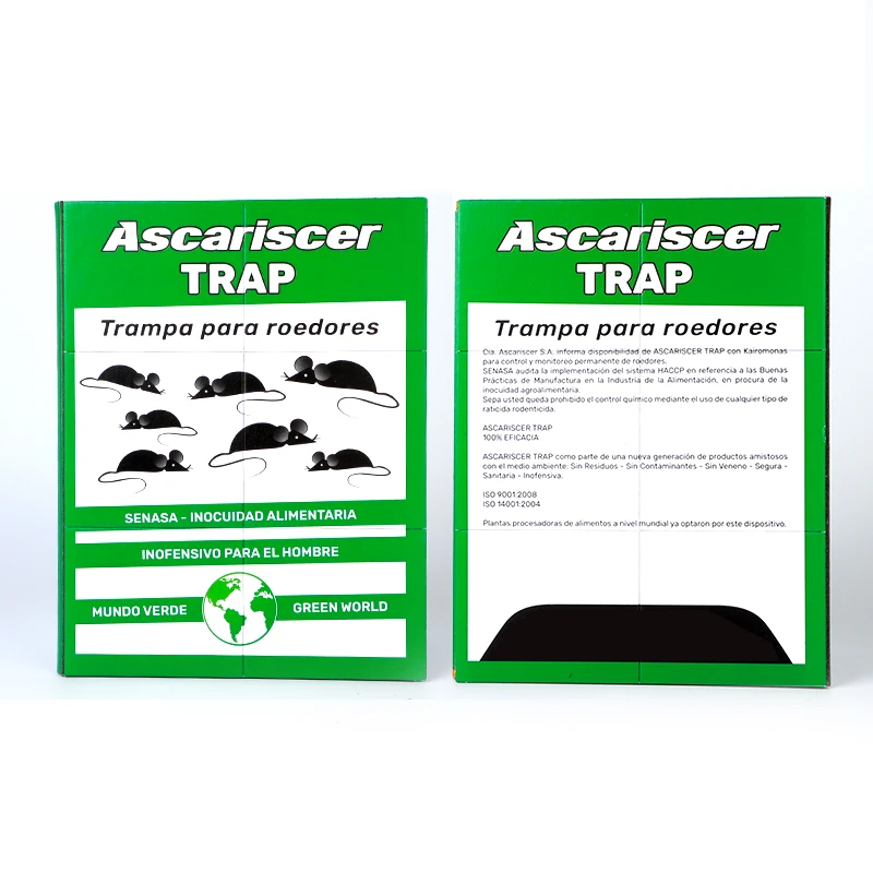 34*21cm 165g Wholesale Cheap Rat and Mouse Glue Traps for Hotel Office Use At Home Collapsible Trap