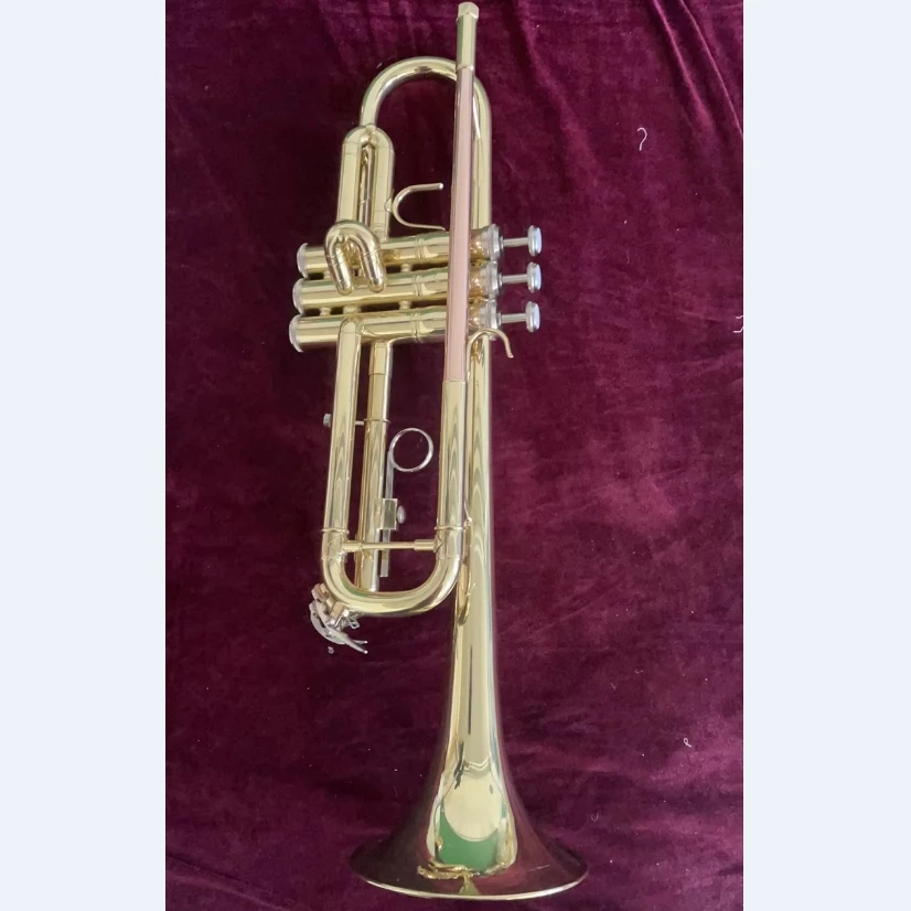 Professional Music Instrument Trumpet Bag Accessories High Quality Instrument  Brass Trumpet