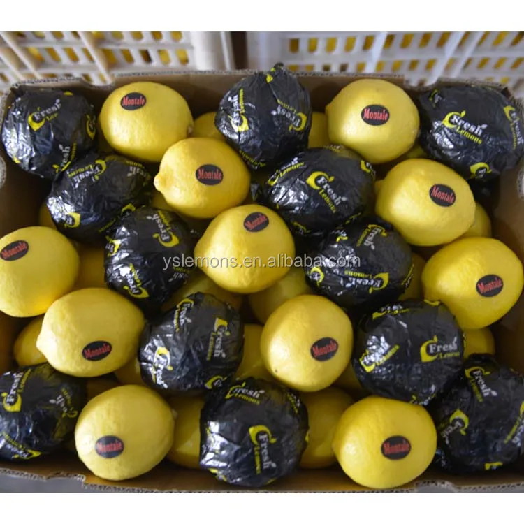 Montale Size 88 100 113 125 138 Fresh Wholesale Eureka Lemon