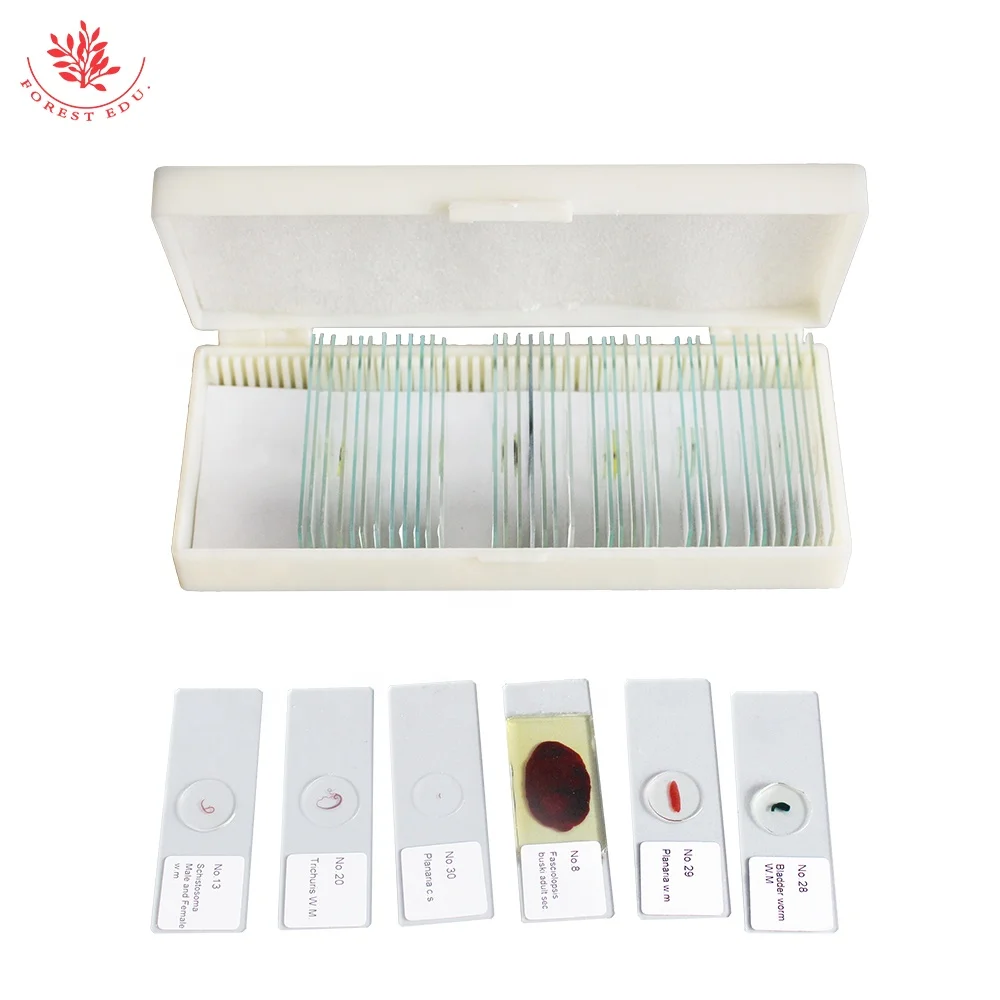Parasite Microscope Slide 42 Kinds Teaching And Research Biology Experimental Research Parasite Prepared Microscope Slide