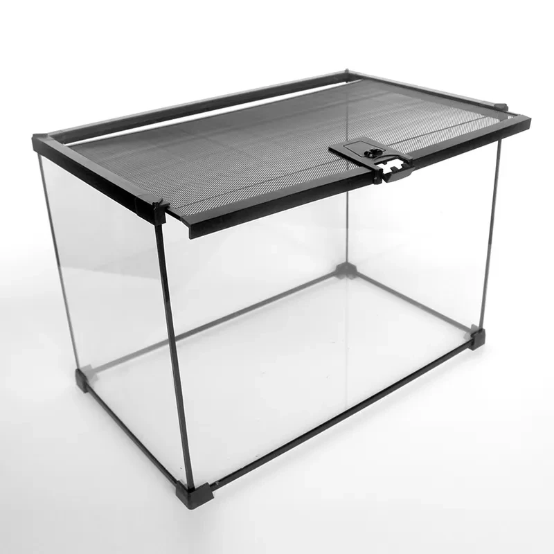 Reptile Glass Terrarium ecological landscape Horned spider guarding palace lizard tortoise glass tank