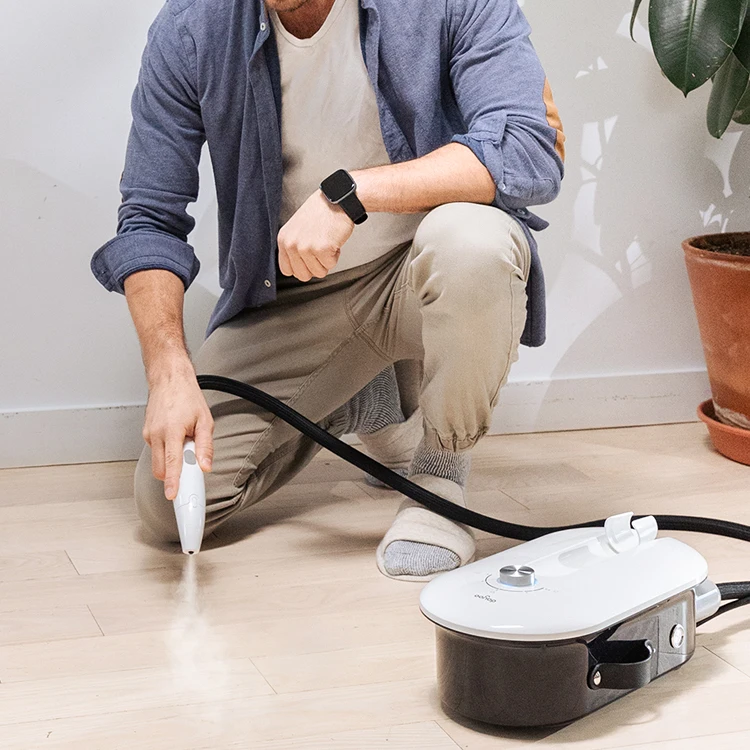 Dayoo oem transportable home handheld portable steam cleaner machine car wash type high pressure electric car washer