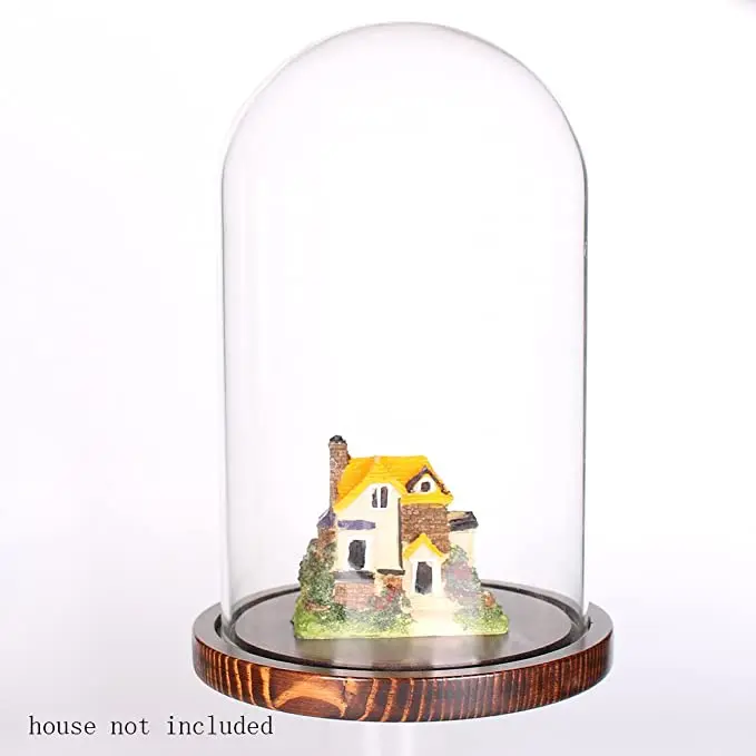 Glass Cloche Bell Jar Display Dome with Wooden Base