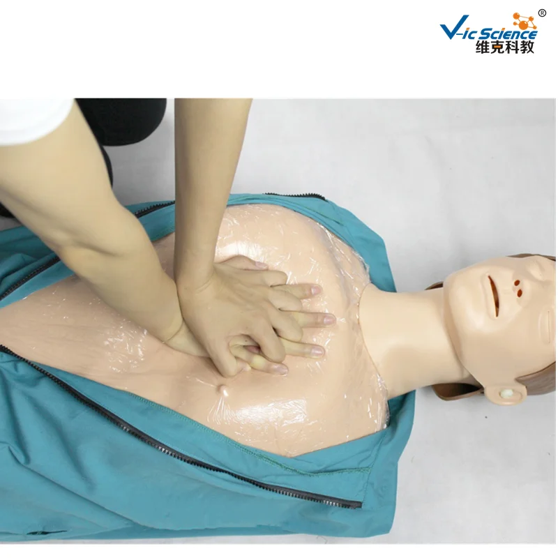 Vic Science взрослая простая модель для тренировки при первой помощи на половину тела