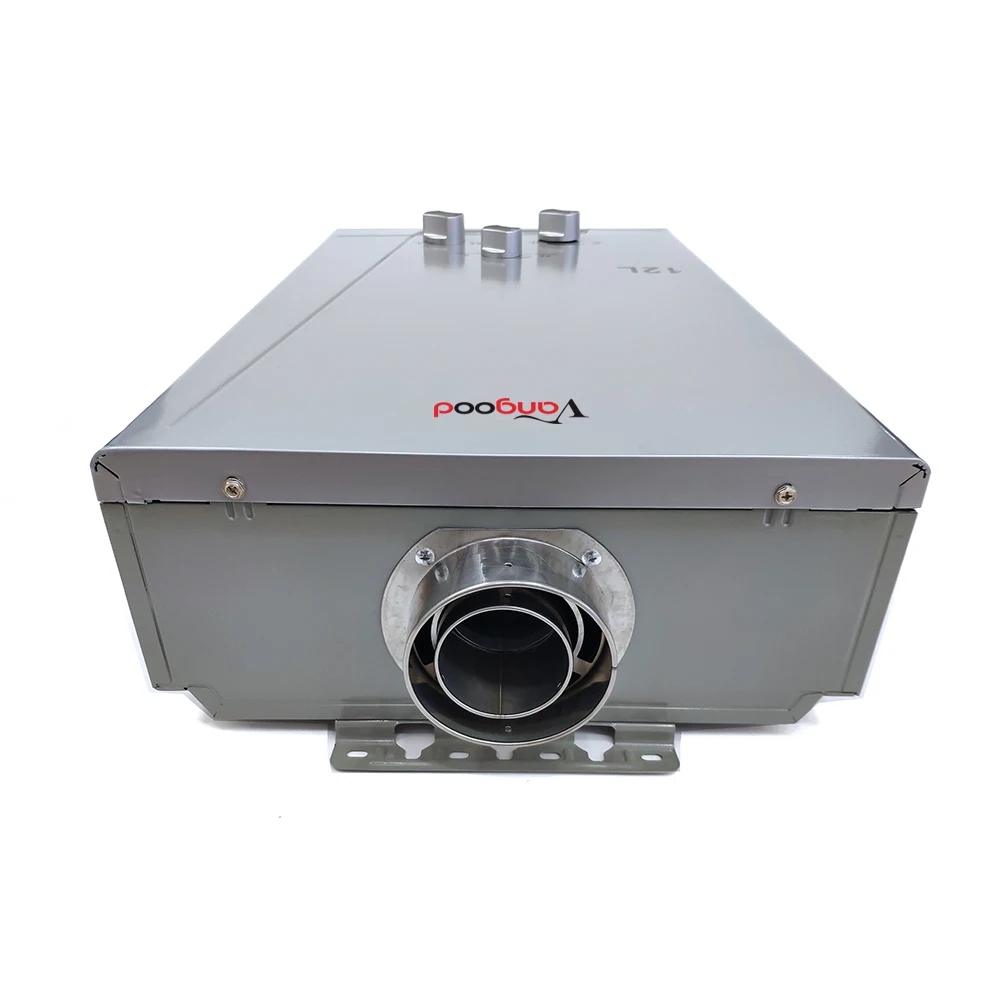 Custom Or Standard Forced Exhaust Type Gas Water Heater Low Pressure 12L