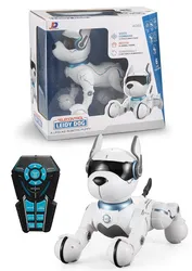 BS Programing Smart Rc Electronic Dancing Educational Pet Robot Manufacture Stunt Electronic Type Dog Toy Custom For Kids